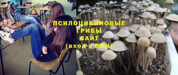 прущий лед Абдулино