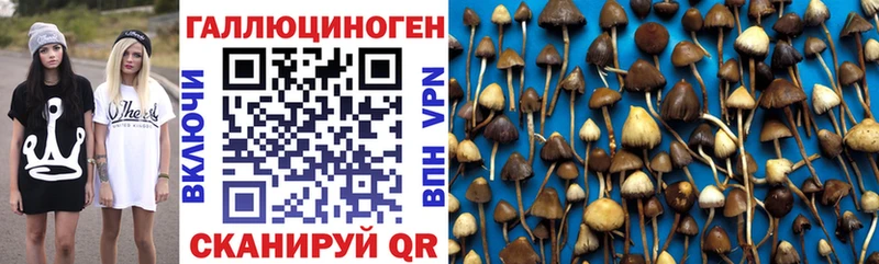 Галлюциногенные грибы ЛСД  Комсомольск-на-Амуре 